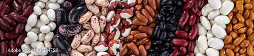 Panoramic banner with ten different varieties of dry kidney beans.
