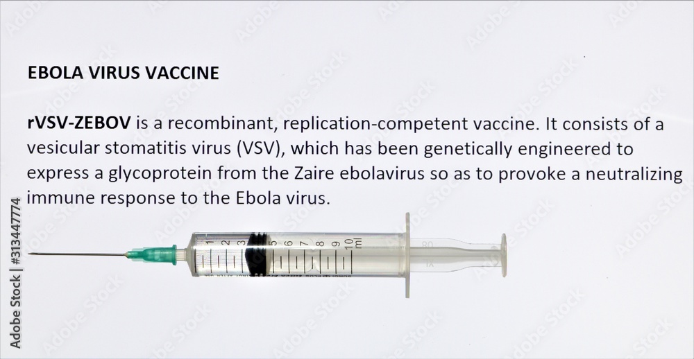 ebola Vaccine consists of a vesicular stomatitis virus which has been genetically engineered to create a glycoprotein from the Zaire ebolavirus this causes the immune system to respond ebola Vaccine consists of a vesicular stomatitis virus which has been genetically engineered to create a glycoprotein from the Zaire ebolavirus this causes the immune system to respond