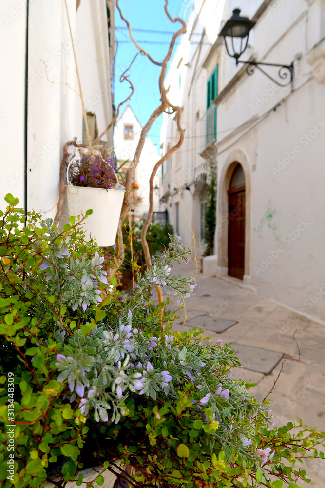 Street in Locorotondo town, Italy, region of Apulia, Adriatic Sea - blooming flowers in the foreground