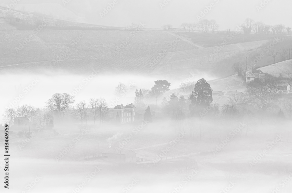 Castle in mist