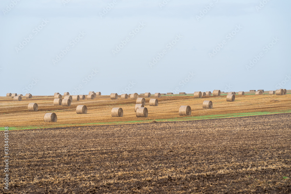 Hay Bales On Field during harvesting season against Sky