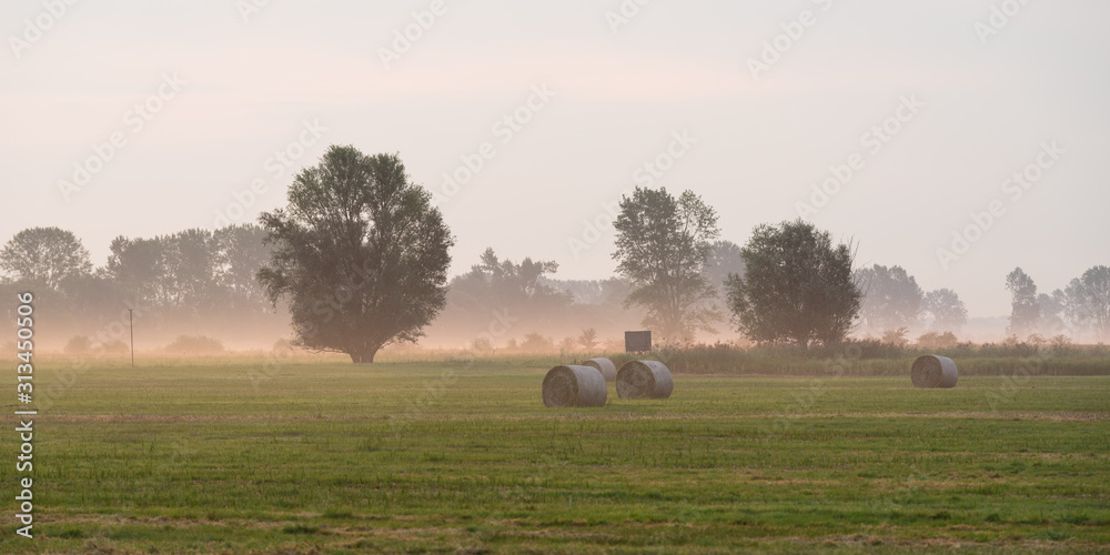 Hay bales in fog on a harvested field on autumn morning
