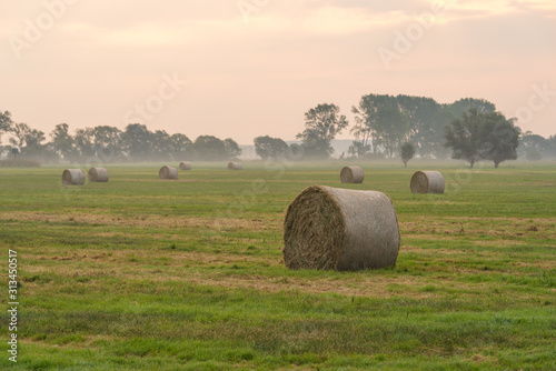 Hay bales in fog on a harvested field on autumn morning