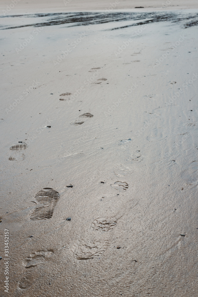 Set of foot prints in the wet sand Set of foot prints in the wet sand
