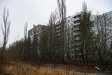 Abandoned ghost town Prypiat. Overgrown trees and collapsing buildings in Chornobyl exclusion zone. December 2019