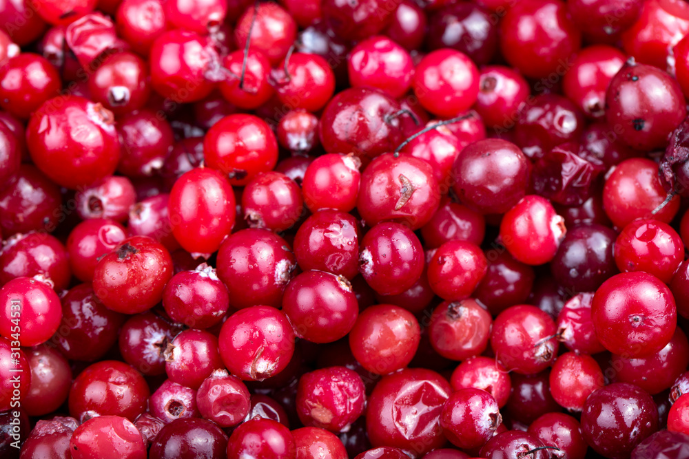 raw cranberries closeup