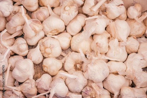 Beautiful selected organic garlic background, lots of garlic on a market counter.