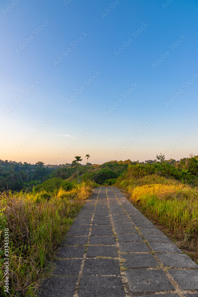 Campuhan Ridge Walk way, Scenic landscape valley in Ubud, Bali. Nobody in the morning.
