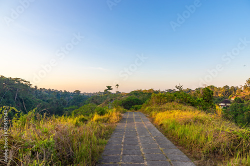 Campuhan Ridge Walk way  Scenic landscape valley in Ubud  Bali. Nobody in the morning.