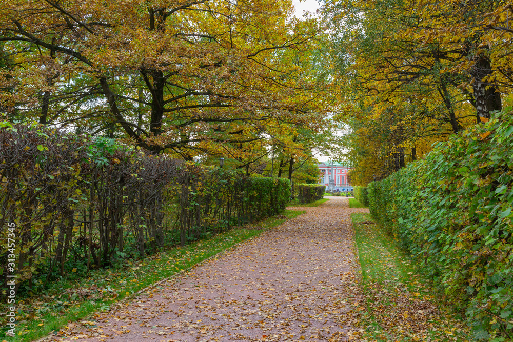 Fototapeta premium The alley is surrounded by autumn trees. Golden autumn is in the old Park. Kuskovo, Moscow, Russia.