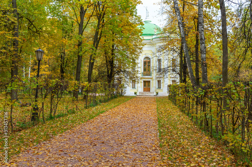 The alley is surrounded by autumn trees. Golden autumn is in the old Park. Kuskovo  Moscow  Russia.