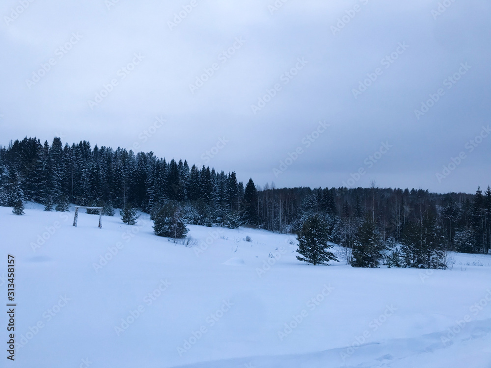 snowy forest on a background of snow in the afternoon snowy forest on a background of snow in the afternoon