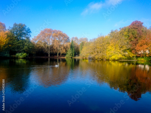 Reflection of Autumn and Fall Colored Trees in Lake Water