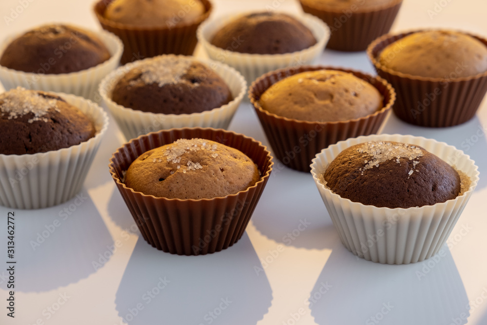 Cupcake. Tasty food cake. Chocolate muffins sprinkle with powdered sugar. Bakery products. Black and white, light and shadow Cupcake. Tasty food cake. Chocolate muffins sprinkle with powdered sugar. Bakery products. Black and white, light and shadow