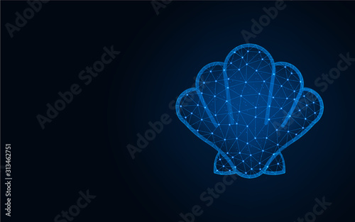 Shell low poly design, Scallop wireframe mesh polygonal vector illustration made from points and lines on dark blue background