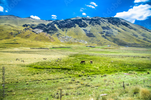 Beautiful landscapes on the road between Puno and Cosco , Peru. photo