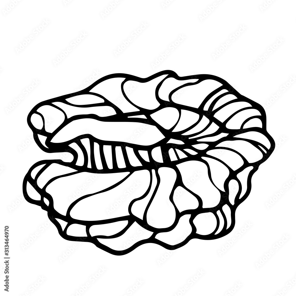 Fototapeta premium part of a walnut core, an element of a decorative ornament or pattern, vector illustration with black contour lines isolated on a white background in a Doodle and hand drawn style