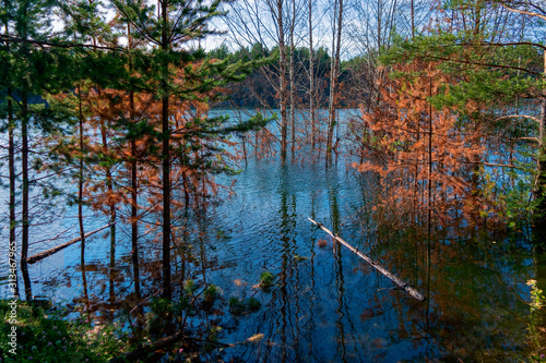 Beautiful autumn trees reflecting on the smooth water surface. Warm autumn day on the river. River bank landscape. photo