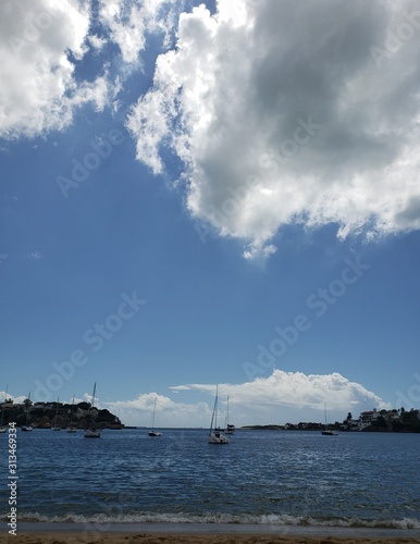 sailing boat in sea