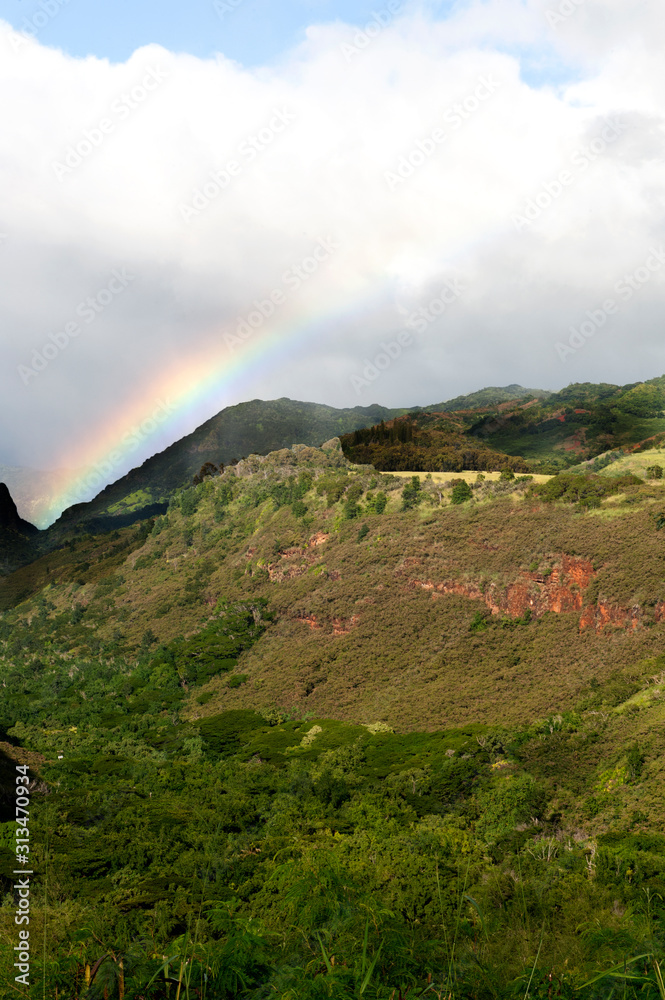 Maui rainbow over valley