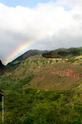 Maui rainbow over valley