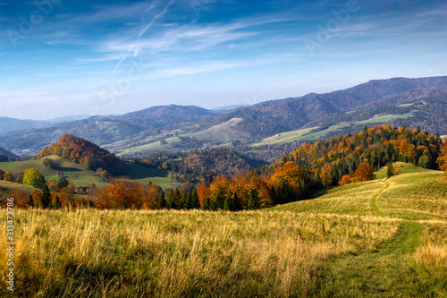 Pawlowska Mountain at right, montane meadow Polonina Kiczera at left and in center Homole mountain. Pieniny in Autumn at Radziejowej Range background in Beskid Sadecki. photo