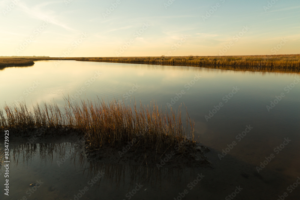 Light of Setting Sun over Estuary Pool in Galveston Island State Park wetlands Light of Setting Sun over Estuary Pool in Galveston Island State Park wetlands