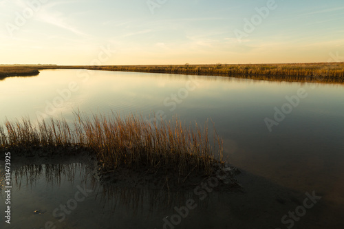Light of Setting Sun over Estuary Pool in Galveston Island State Park wetlands