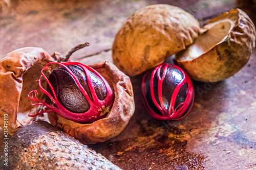 Muskatnuss mit Schale und Macis / Myristica fragrans / Querformat