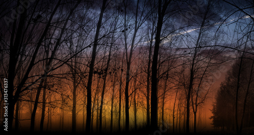 siluetas y cielo al atardecer © Luis Mariano
