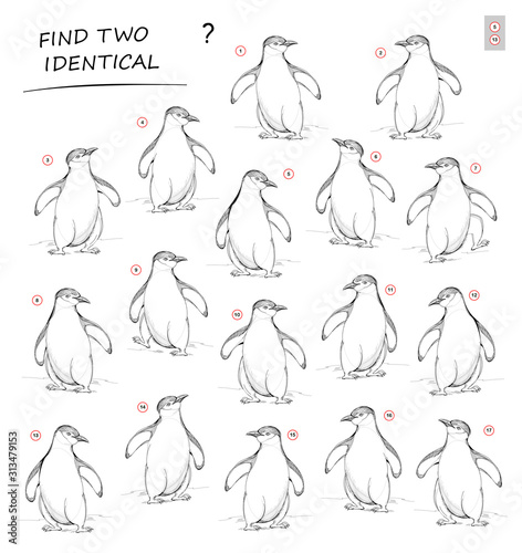 Logic puzzle game for children and adults. Need to find two identical penguins. Printable page for kids brain teaser book. Developing spatial thinking skills. IQ test. Hand-drawn vector cartoon image.