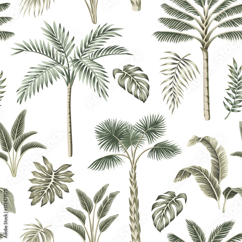 Tropical vintage palm trees, banana tree, palm leaves floral seamless pattern white background. Exotic jungle wallpaper.