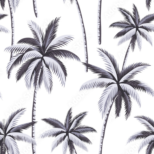  Tropical vintage botanical grey palm tree floral seamless pattern white background. Exotic jungle wallpaper.
