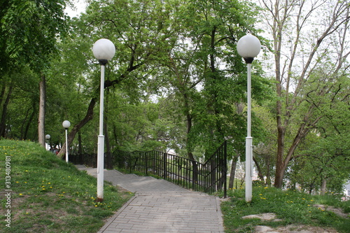 beautiful view in a city park in summer