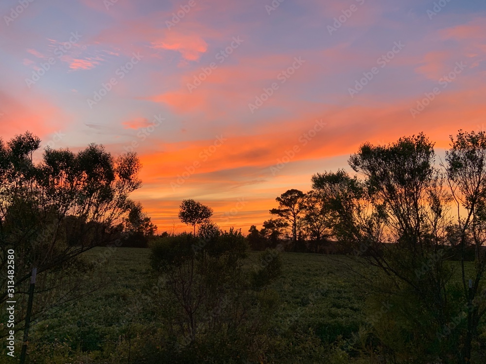 Fototapeta premium sunset background