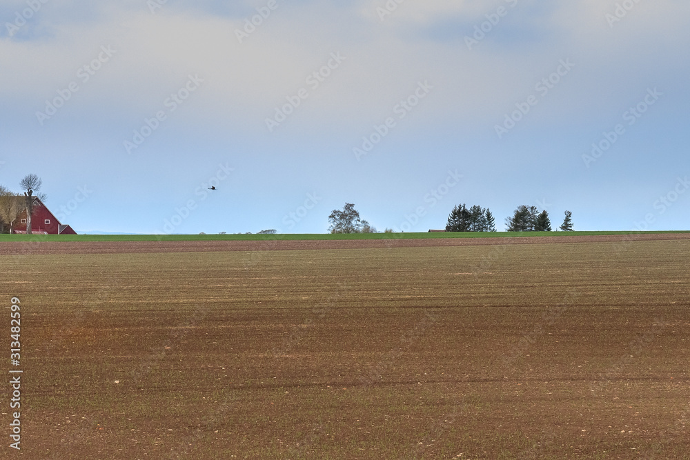 Obraz premium field is ready sowing. Spring Central Sweden.