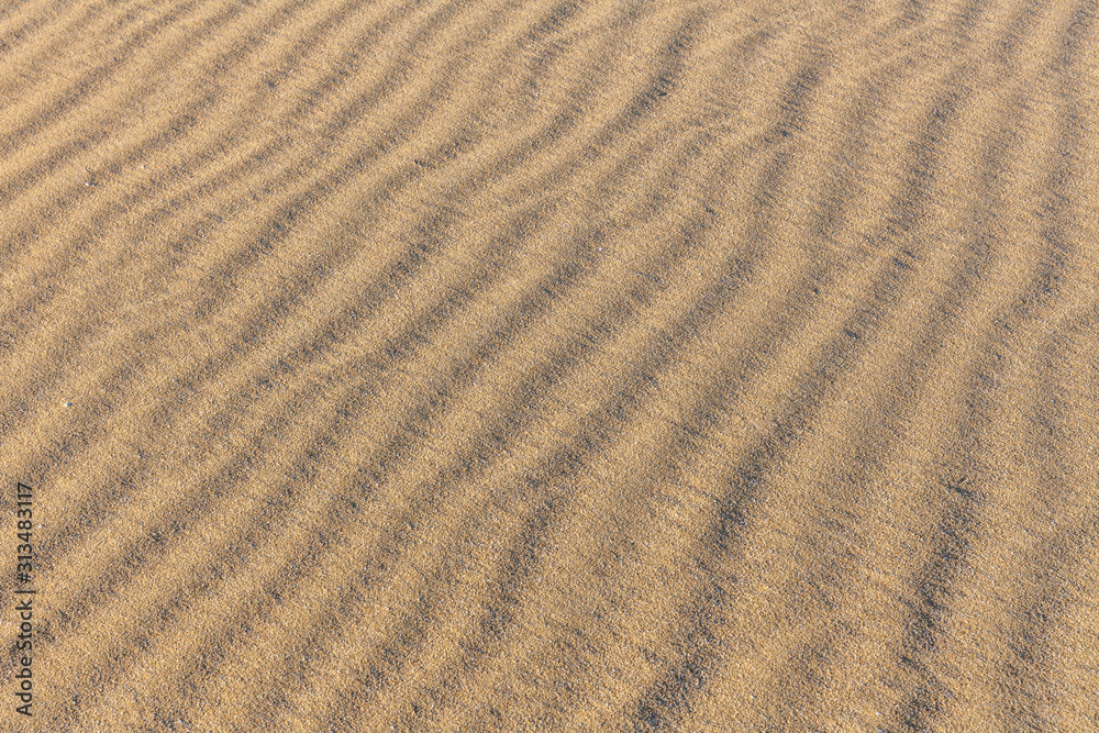 Sand Texture. Background from fine sand. Sand background Sand Texture. Background from fine sand. Sand background