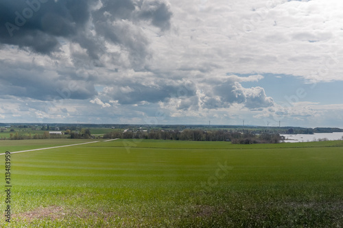 Stormy sky over a green sown field with wind power on the background. Central Sweden.
