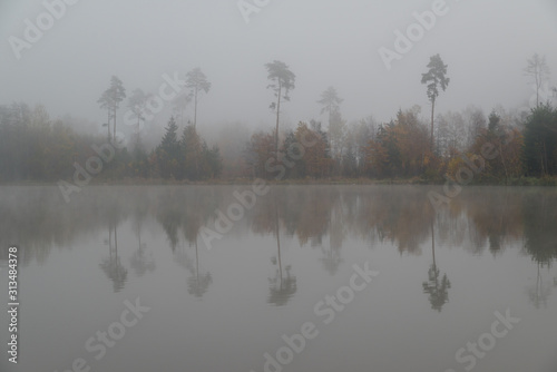 Reflections of trees in a lake on a misty day