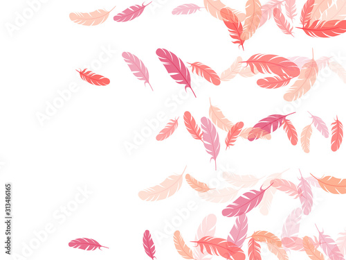 Flying feather elements airy vector design.