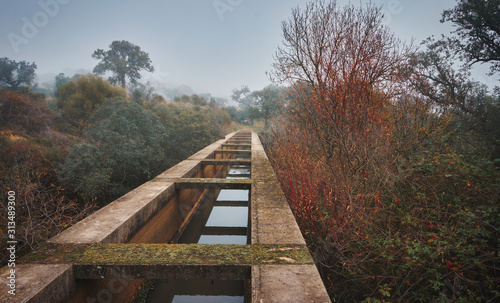 Autumnal landscape with irrigation water canal