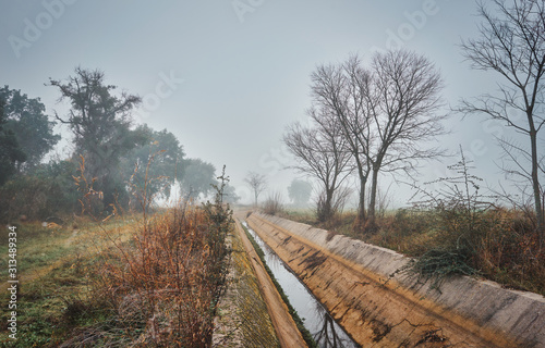 Autumnal landscape with irrigation water canal