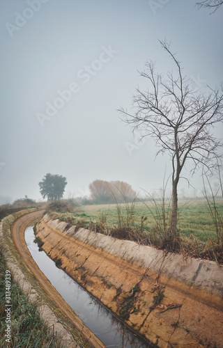 Autumnal landscape with irrigation water canal