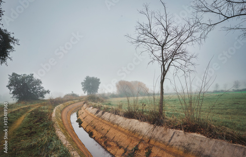 Autumnal landscape with irrigation water canal
