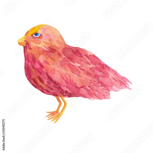 Red bird in watercolor technique. Can be used for unique phone cases, postcards, logos