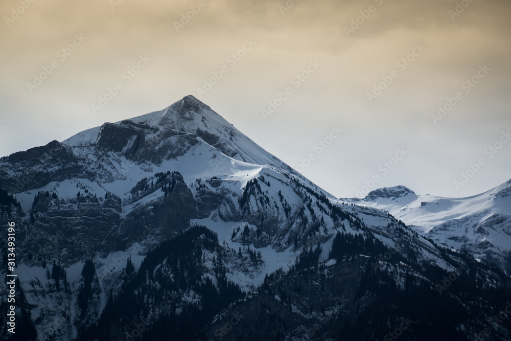 swiss alps during winter with mountains and trees covered with snow