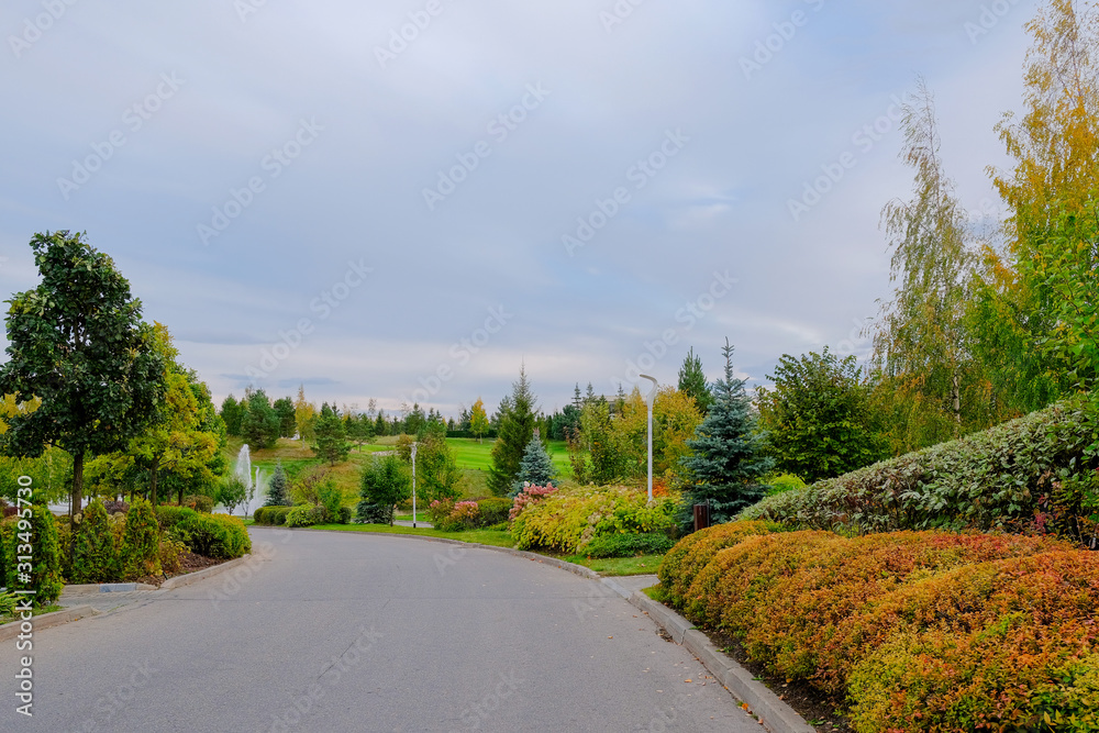 The road in the city park along ornamental shrubs and trees on autumn day.