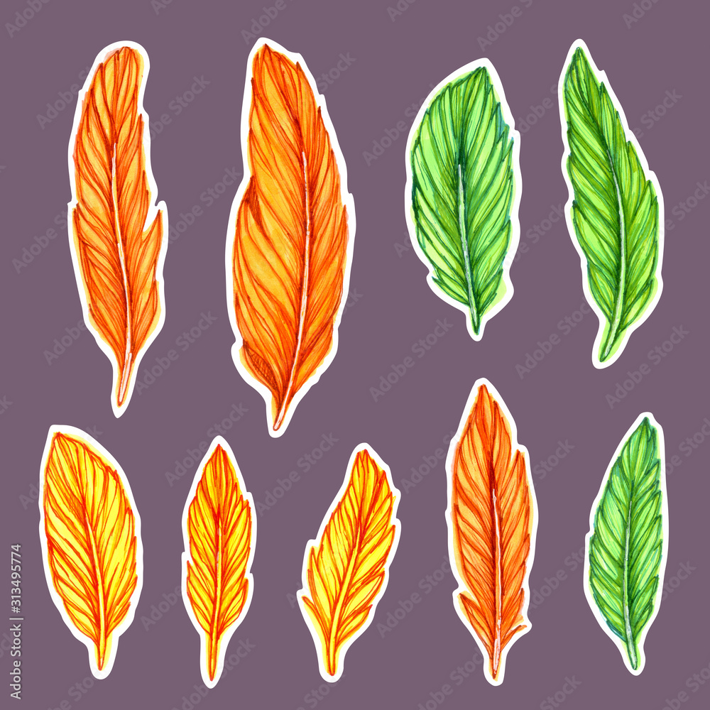 Fototapeta premium This illustration is a set of colored feathers drawn by hand with markers and liners. Each feather is on a gray-violet background and is surrounded by a white outline.