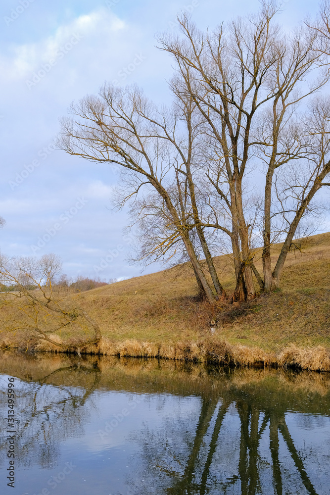 Landscape. Trees and dry grass along the shore of a small river in late autumn. Landscape. Trees and dry grass along the shore of a small river in late autumn.