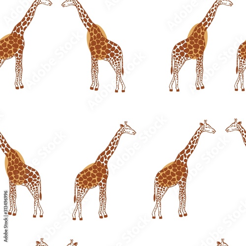 Hand drawn giraffes on white background. Vector seamless pattern.